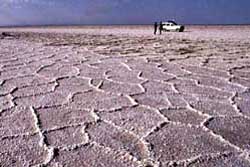 Wüste, Voderasien, Iran: Salzwüste - Typische Oberflächenstruktur